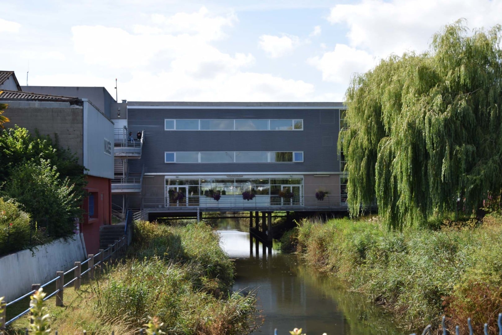 Stage d’aquarelle : Thèmes de printemps