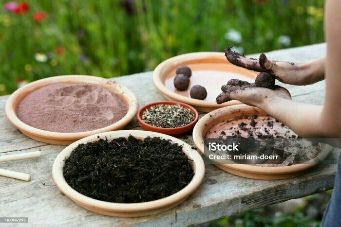 VILLE D'AVRAY : Mission biodiversité : fabrication de bombe à graines !