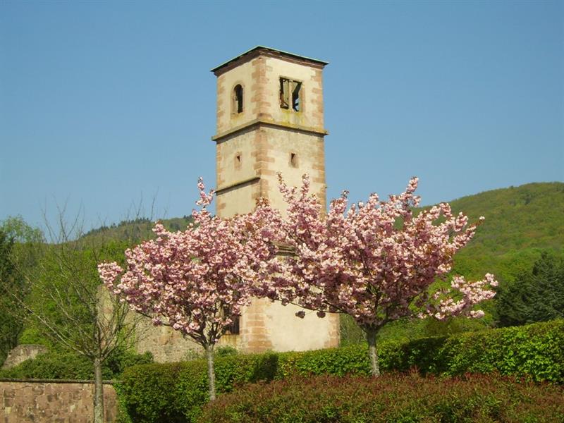 16ème marche du coucou