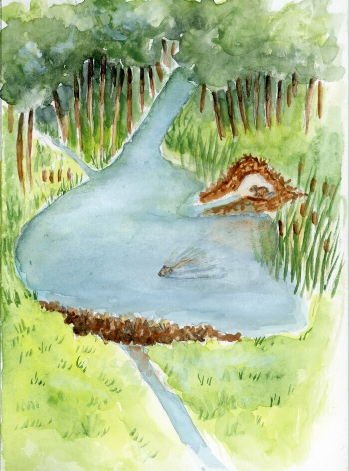 Balade naturaliste : "Branche - toi"