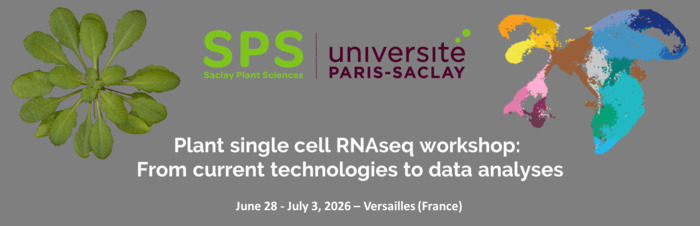SPS Summer School 2026 - "Plant single cell RNAseq workshop: From current technologies to data analyses"