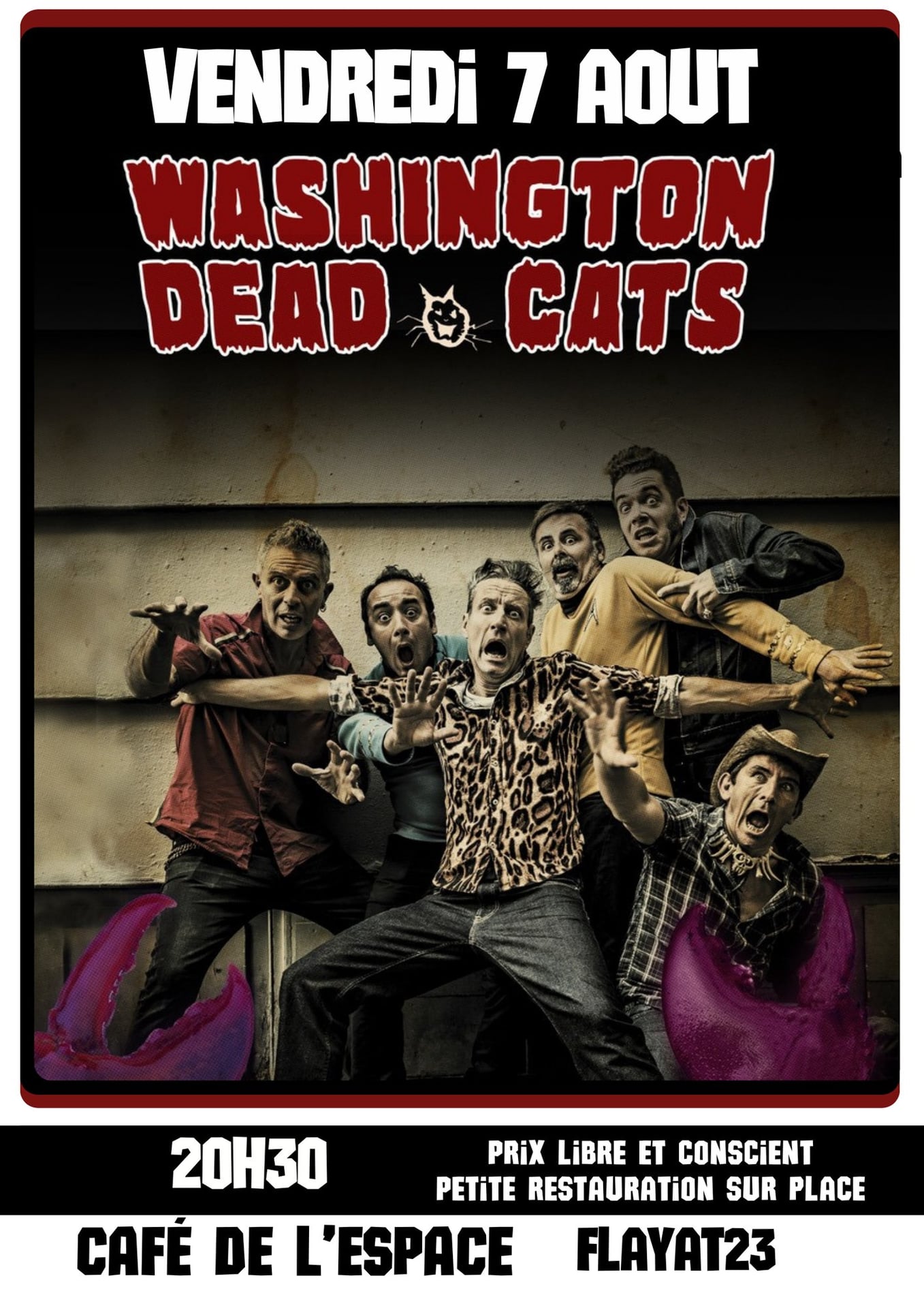 Concert des WASHINGTON DEAD CATS VENDREDI 7 AOÛT