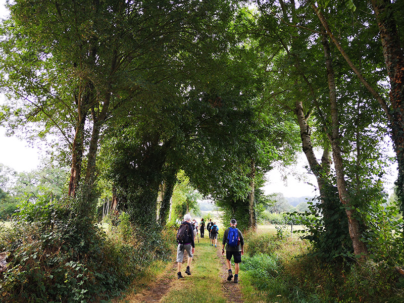 Randonnée de l'été