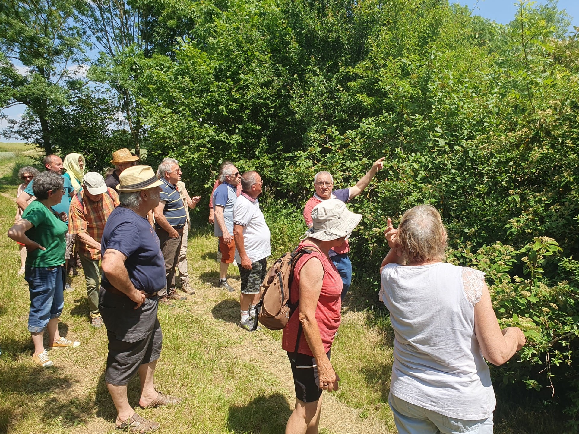 Fête de la Nature : visite guidée "Génèse d'une forêt"