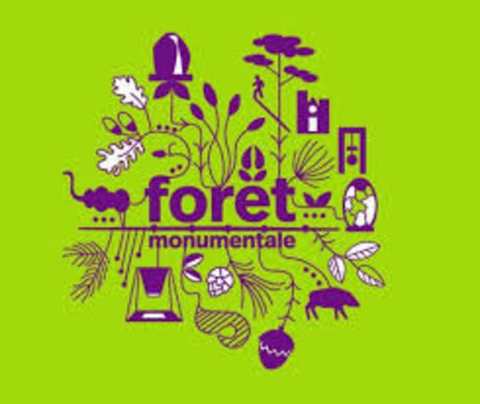 Forêt monumentale: visite