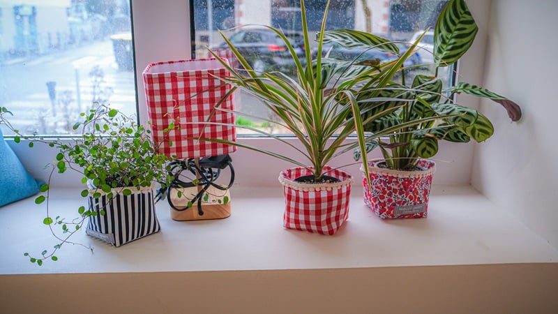 Les jours Créa avec Lys et Marguerite