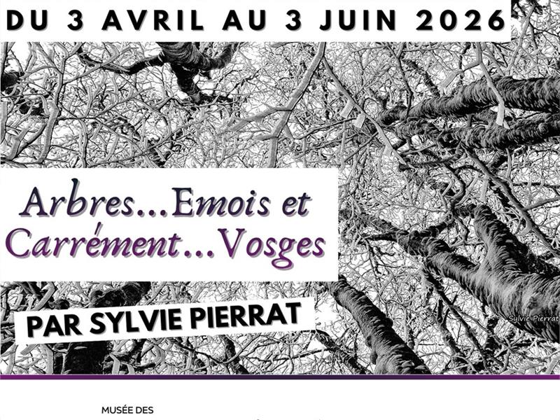 Exposition photographique - Arbres...Emois et Carrément...Vosges