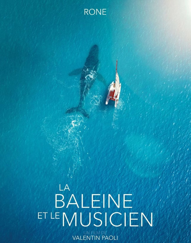 Cinéma Arudy : La Baleine et le musicien