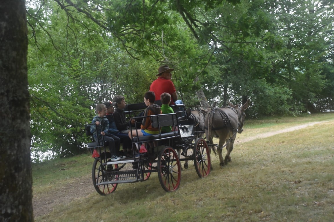 Fête de la Myrtille - 12ème édition - Lac de Vassivière