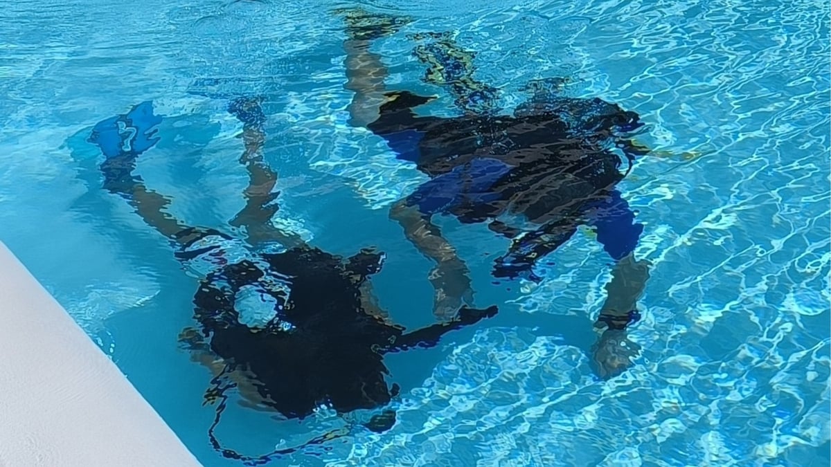 Été Actif : baptême de plongée sous-marine avec bouteille