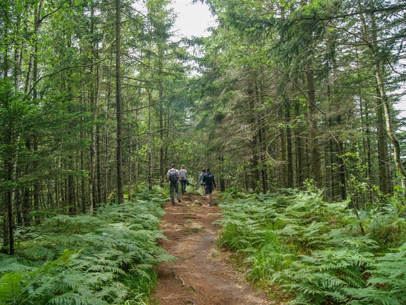 Sentiers Plaisir : Prenez de la hauteur !