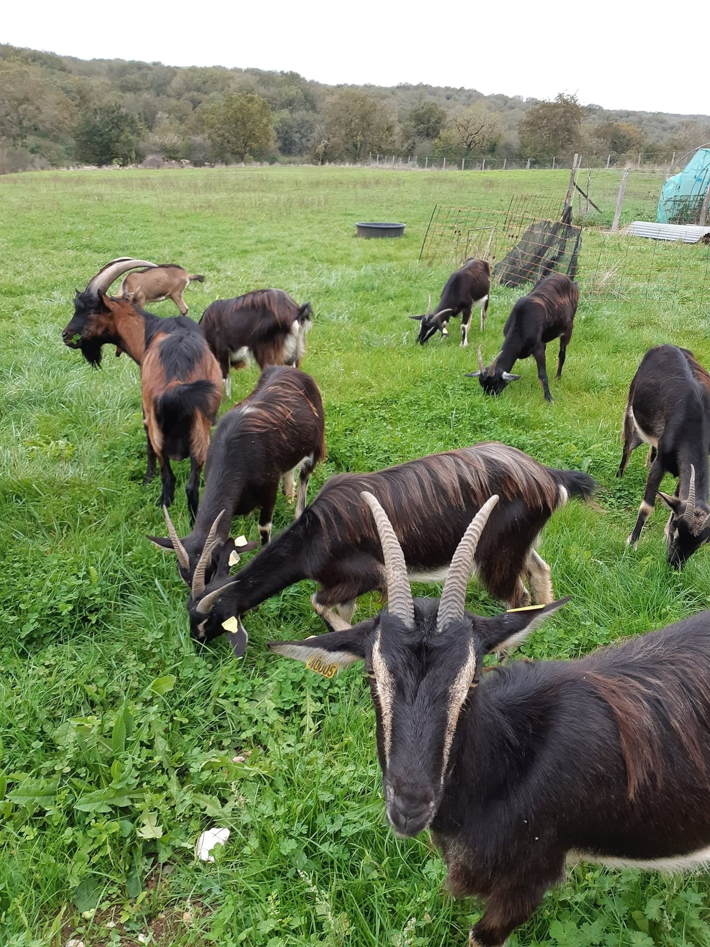 De ferme en ferme, Ferme du Lac des Termes à Issendolus