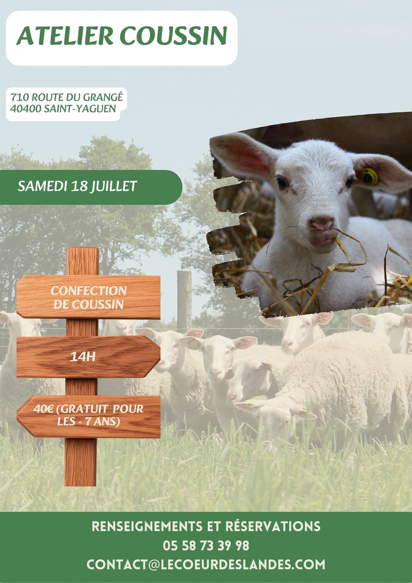 Découverte de la bergerie de Sarah : Atelier cousin