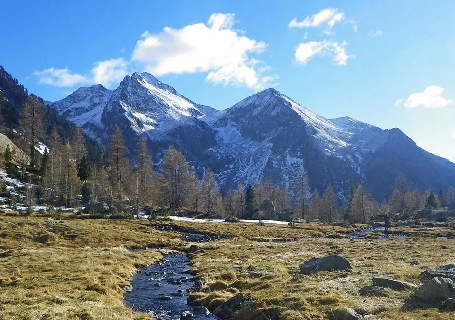 L'histoire du mercantour de la réserve royale de chasse au parc national