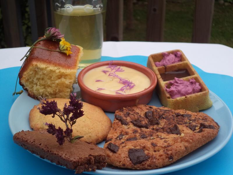 Balade cueillette et goûter nature pour les enfants