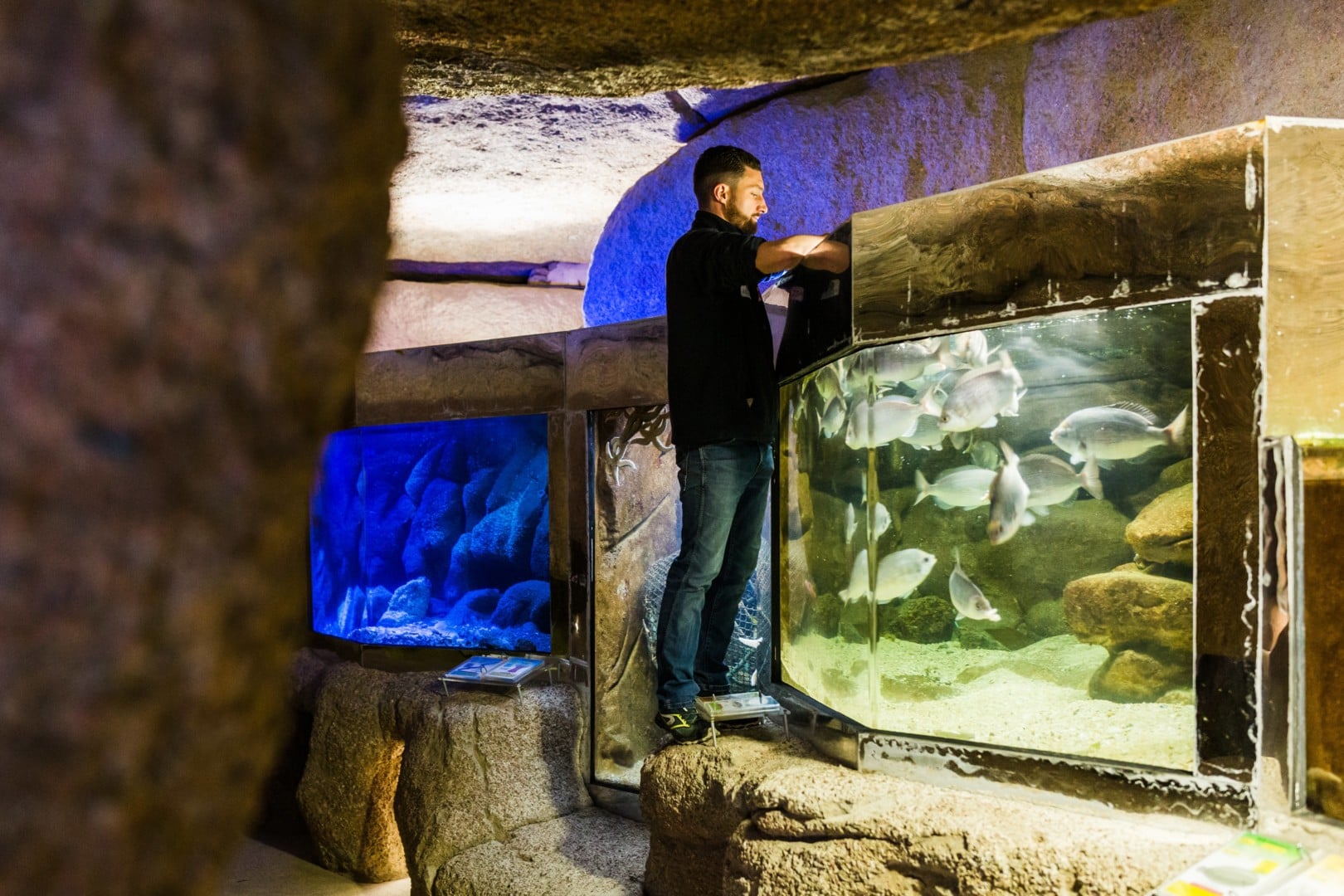Rencontre avec un soigneur
