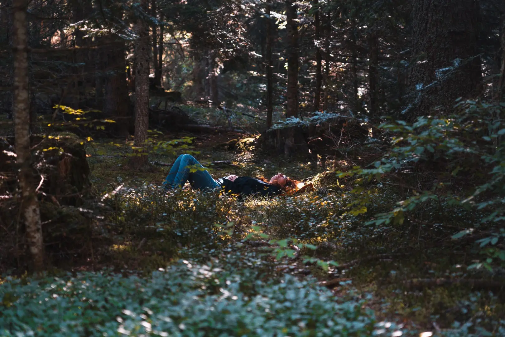 Zen Agritude : Atelier sensoriel et émotionnel : écouter, apercevoir, ressentir et sentir