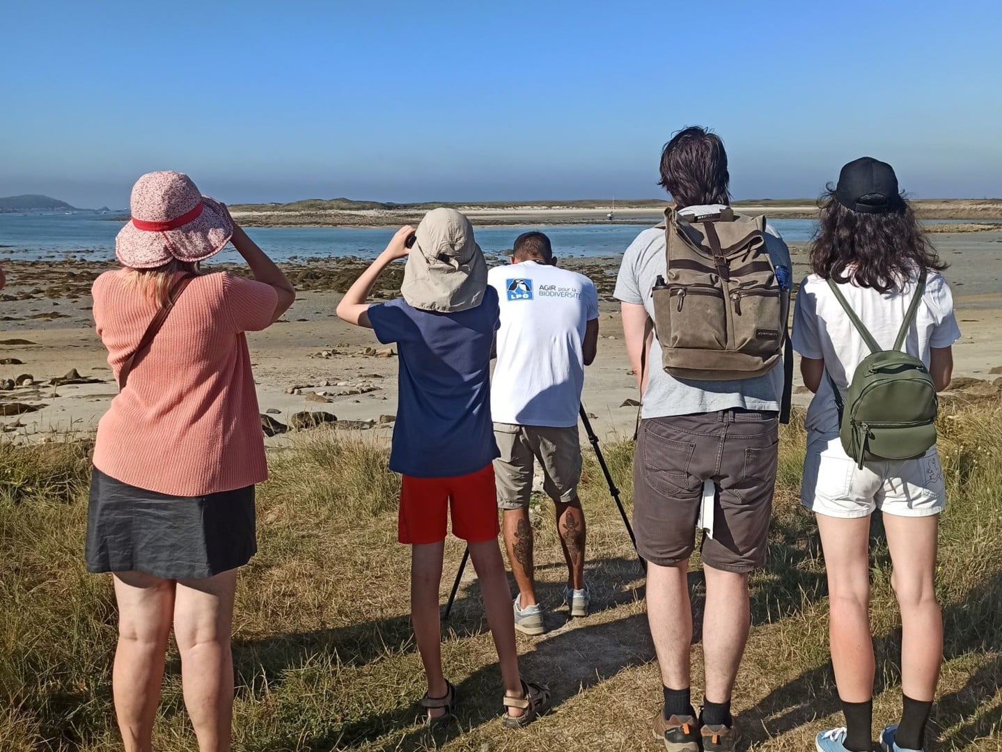 Observons les oiseaux de l’Ile Grande