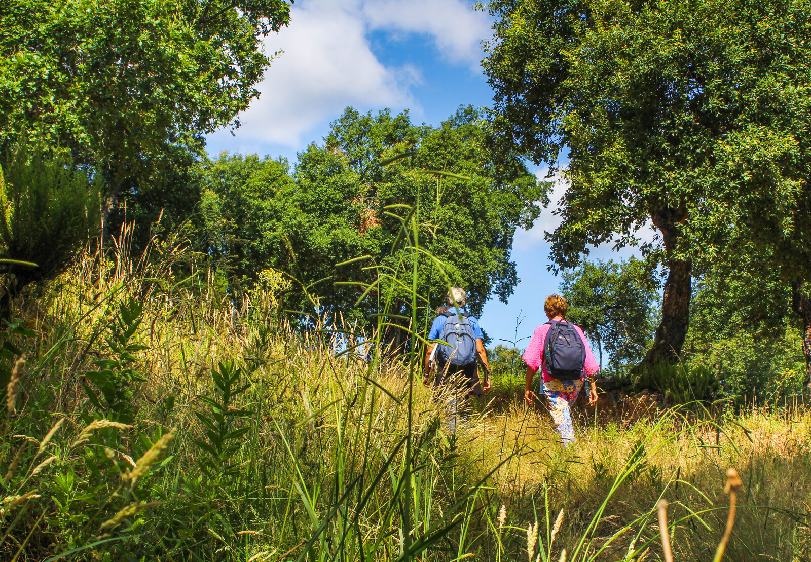 RANDO DECOUVERTE "PAYSAGES ET PATRIMOINE EN MONTAGNE"