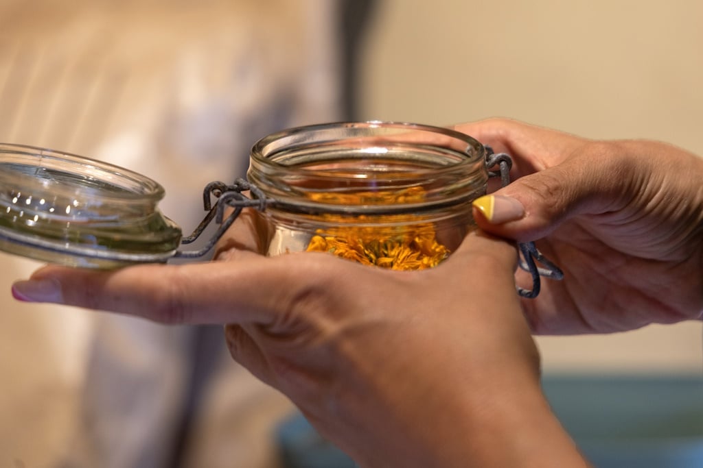 Découvrez les bienfaits des plantes sauvages - Août