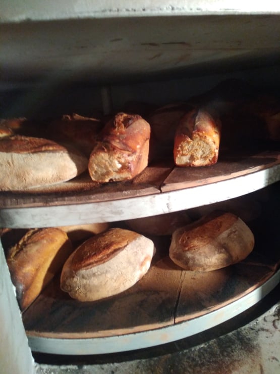 Découverte du pain au levain