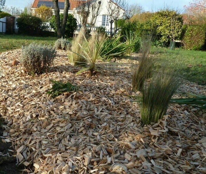 Jardinons ! Mon massif "Zéro arrosage"