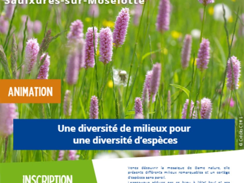 Sortie nature "Une diversité de milieux pour une diversité d'espèces"