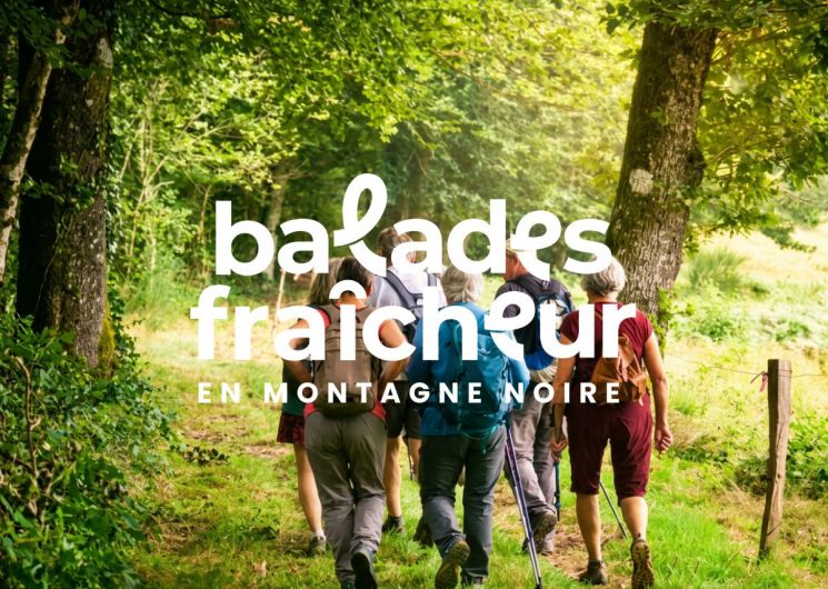 BALADES FRAÎCHEUR – LE VALLON CACHÉ