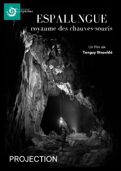 Projection - échanges : Espalungue, le royaume des chauves souris