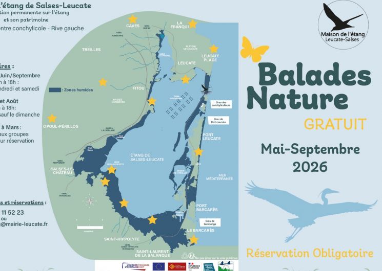 BALADE NATURE : LES OISEAUX DU BÂTI