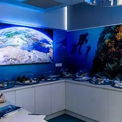 Regard sous la Mer. Patrimoine subaquatique naturel et culturel méditerranéen