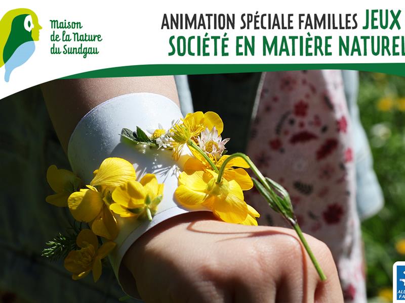 Jeux de société en matière naturelle - Familles