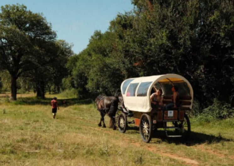 Nomades des Terres : Balades Contées
