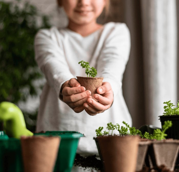 Les super-héros du jardin