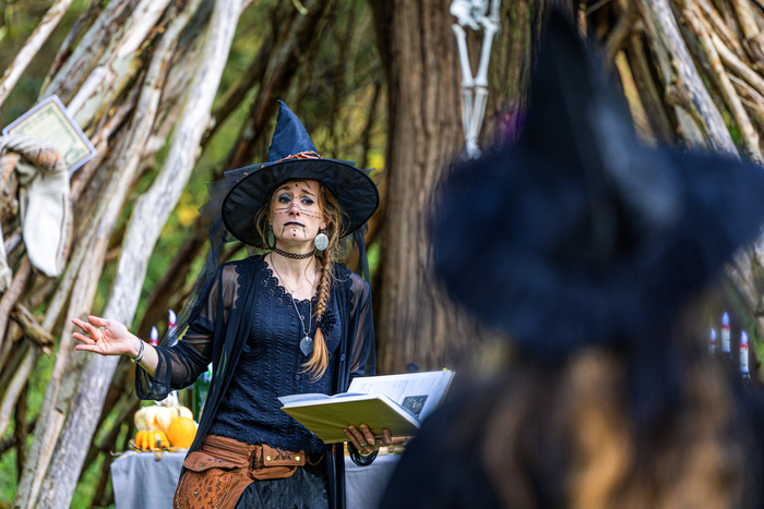 Balade naturaliste : "Le marais comme vous ne l’avez jamais vu"