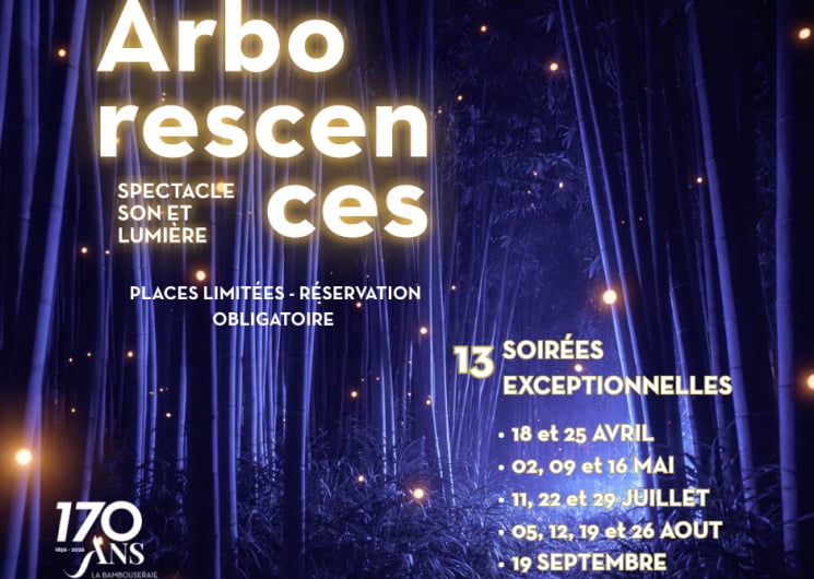 Spectacle nocturne son et lumière Arborescences