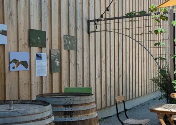 TRIPLE EXPOSITION AU MOULIN DES BRASSEURS !