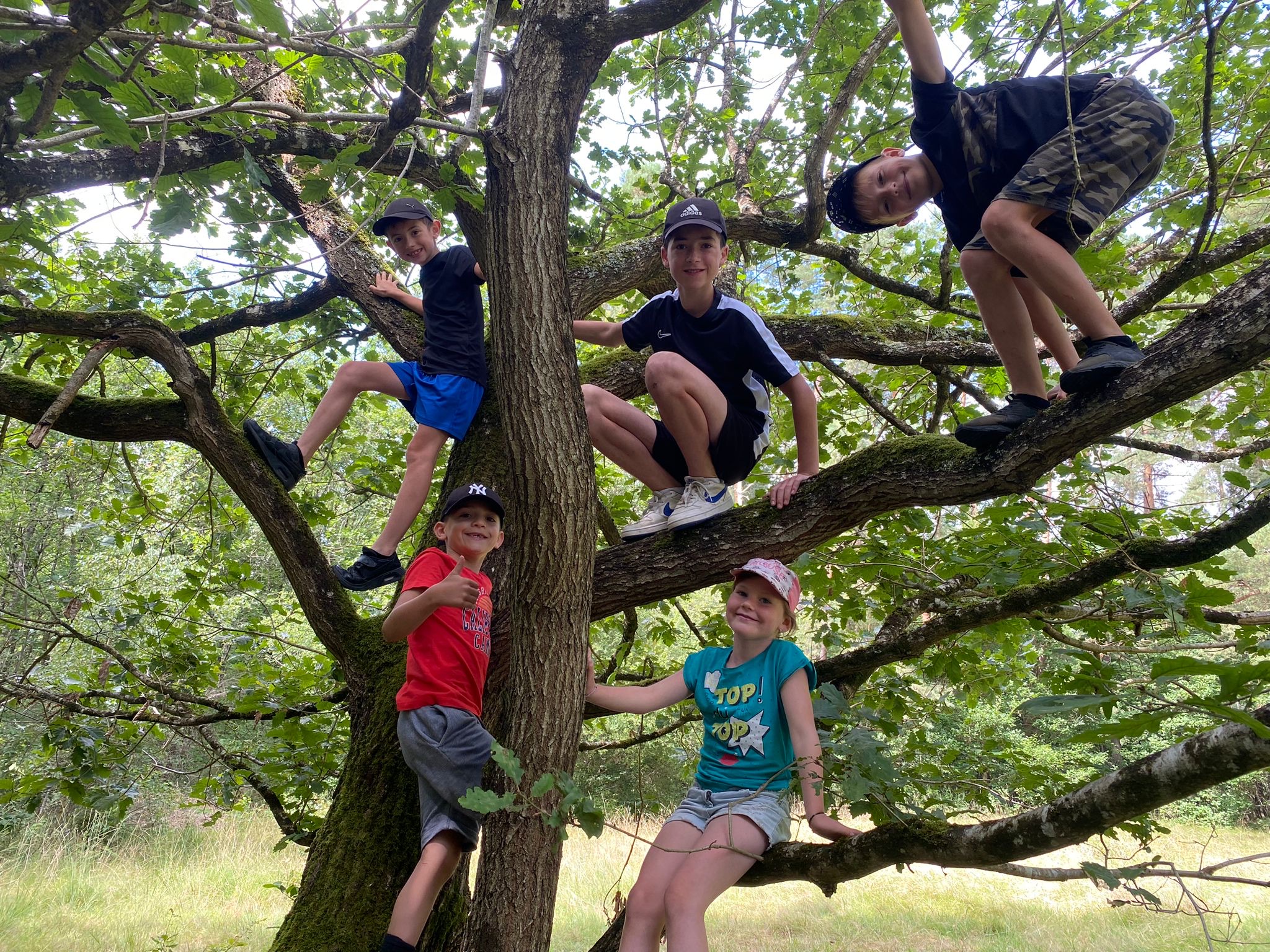 Stage enfants Multi activités - Vacances d'été