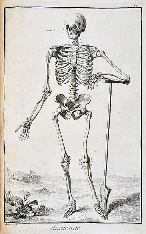 ARPL 2026 - Visite guidée des planches Anatomie de l'Encyclopédie