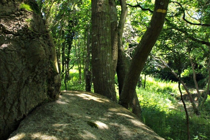 Vallée de Goas Lagorn