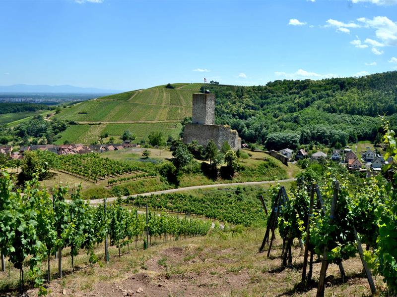 Journées du patrimoine - Château du Wineck