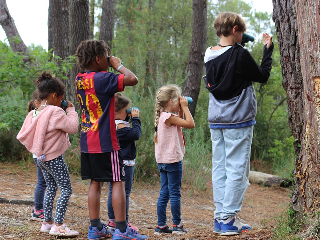 Les petites bêtes de l'eau