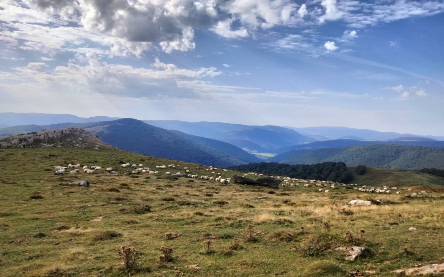 Randonnée acccompagnée Mendi Gaiak : rencontre avec Pauline, bergère à Irati