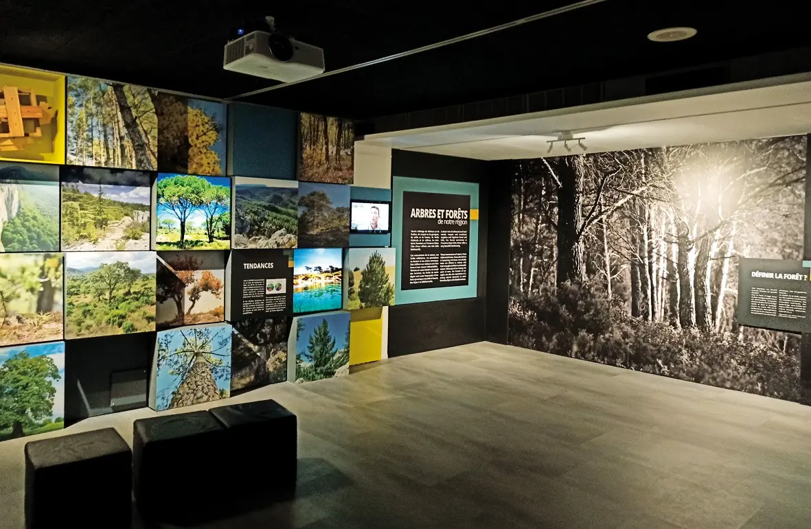 Les journées du patrimoine à l'Écomusée de la forêt