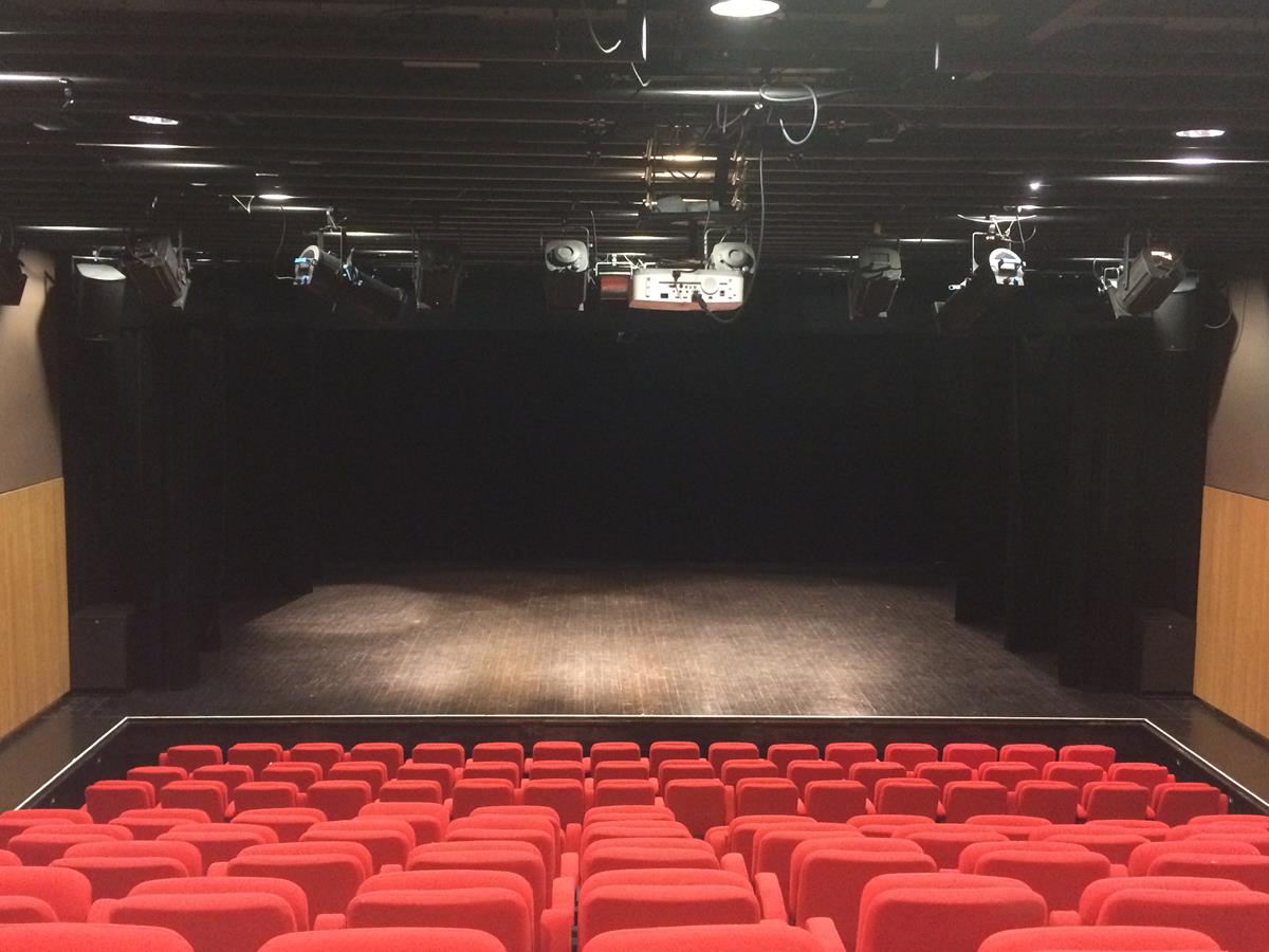 Concert musiques actuelles à la Halle à Vire Normandie