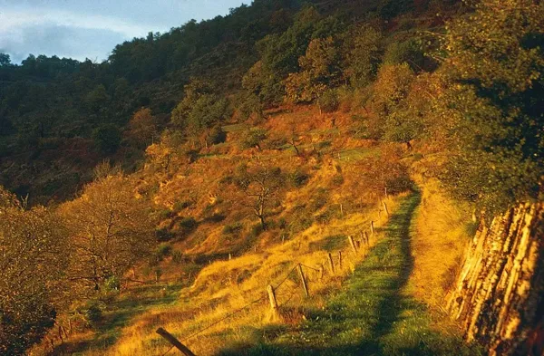 Sortie randonnée pédestre : La Terrisse