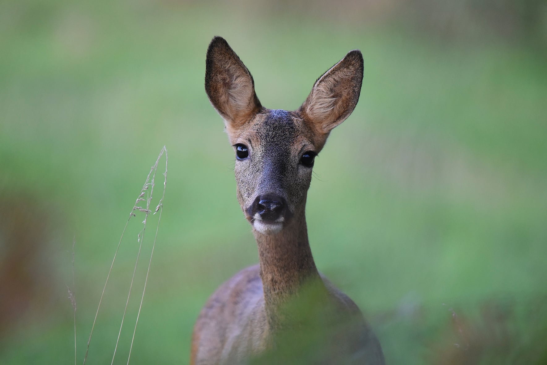Domaine de Sédières : Exposition en extérieur