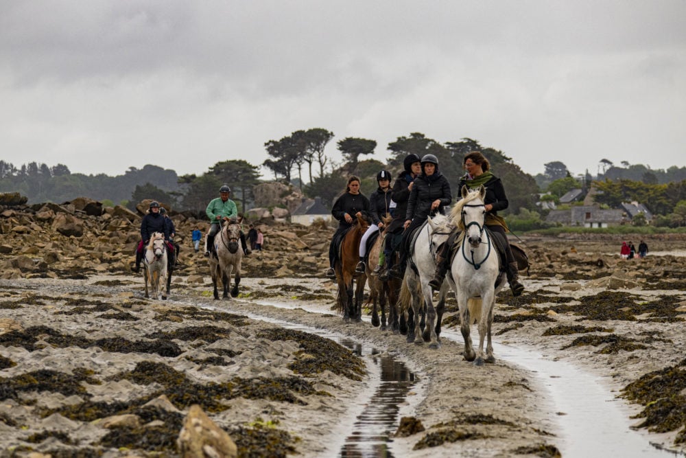 Pardon aux chevaux de Saint Gildas