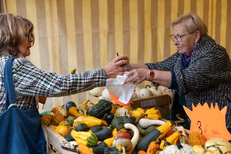 Fête du potimarron