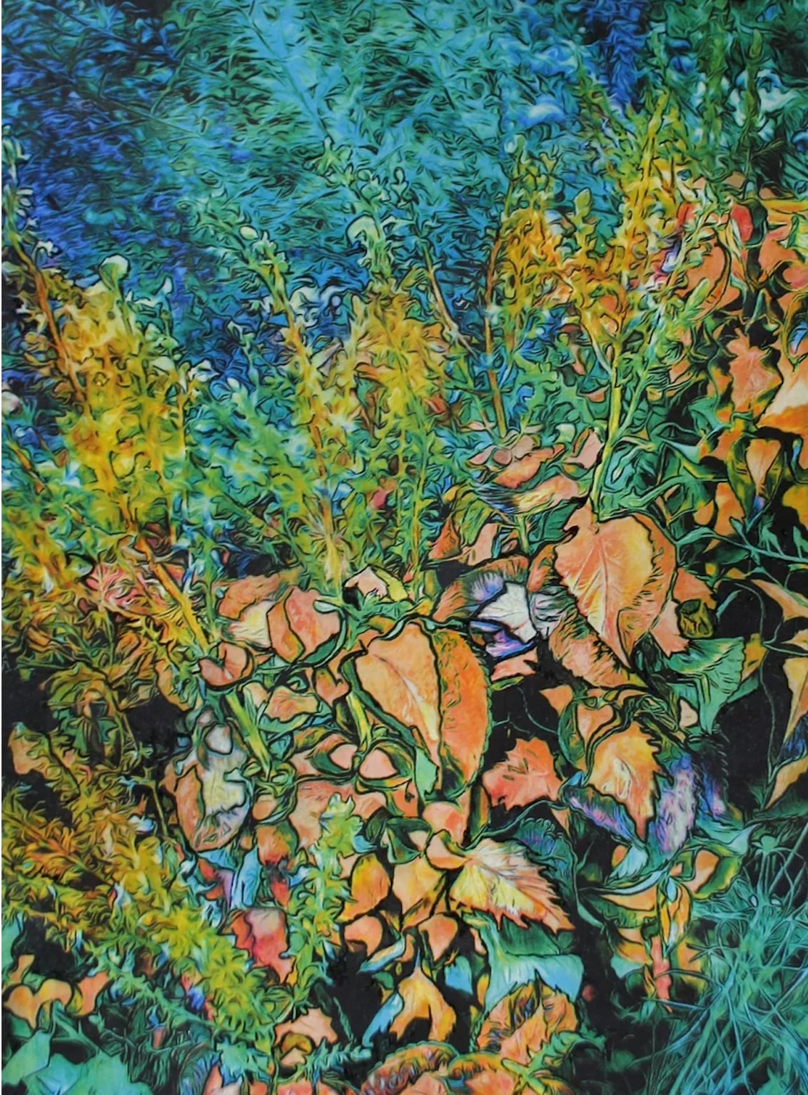 Exposition Dominique Coppens